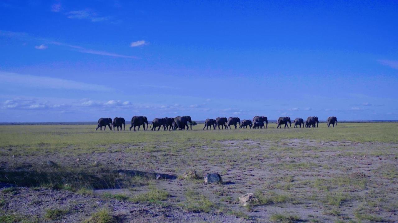 Amboseli Gateway Hotel Kimana Eksteriør billede